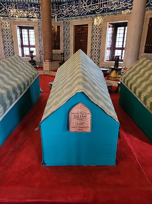 Saliha Dilaşub Sultan